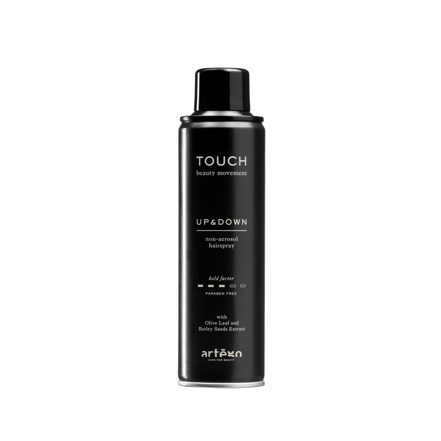 TOUCH UP & DOWN HAIRSPRAY 250ML